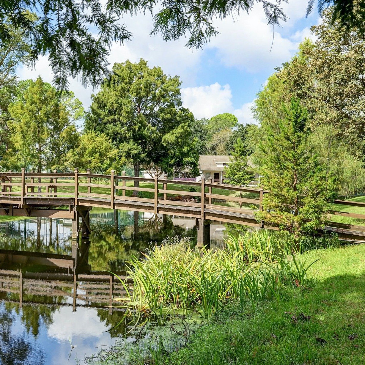The Orchard on the Brazos