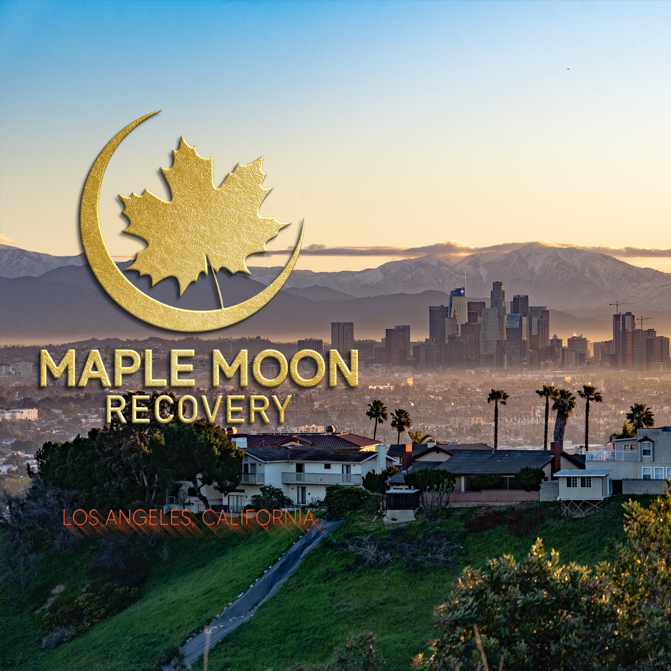 Maple Moon Recovery