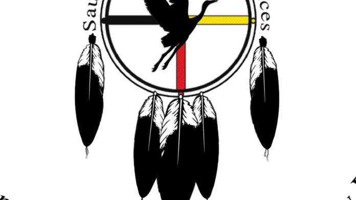 Sault Tribe Behavioral Health Program