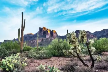 In Balance Counseling AZ 85712