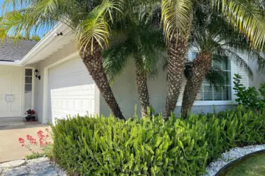 The Well Recovery Center CA 92683