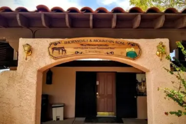 La Frontera Center - Thornydale Ranch AZ 85742