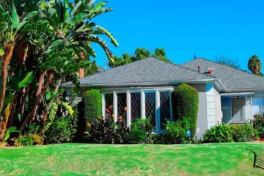 REVIVE Detox CA 90036