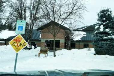 State Hospital North ID 83544