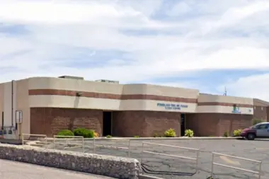 ALT Recovery Group NM 88011