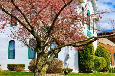 Counseling and Family Services NJ 7470