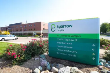 Sparrow Behavioral Health Services MI 48915