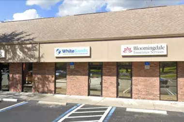 WhiteSands Treatment - Brandon FL 33511