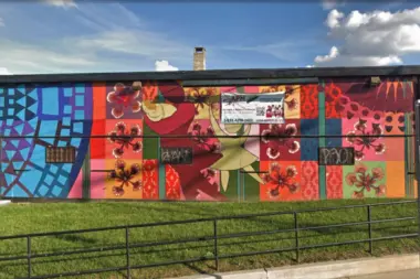 Asociacion Puertorriquenos en Marcha - Rising Sun Avenue PA 19140