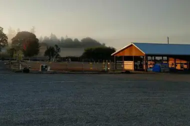 Forward Stride OR 97078