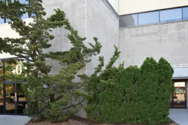 High Focus Centers NJ 7652