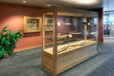 The facilities at Aleutian Pribilof Islands Association in Anchorage, AK 1