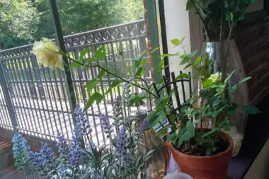 The facilities at Behavioral Health Network - Liberty Street Clinic in Springfield, MA 1