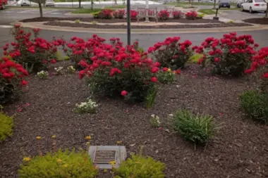 The facilities at Cass Regional Medical Center in Harrisonville, MO 1