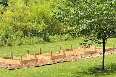 The facilities at Devereux Advanced Behavioral Health Georgia in Kennesaw, GA 3