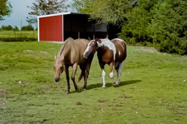 The facilities at Discovery Point in Dallas, TX 3