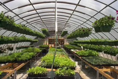 The facilities at Faith Home Christian Recovery in Greenwood, SC 2