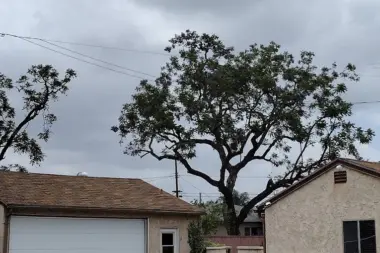 The facilities at Foley House in Whittier, CA 1