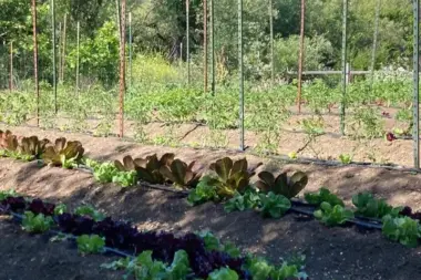 The facilities at Ford Street Project in Ukiah, CA 1