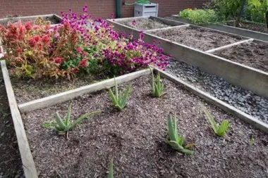 The facilities at Hallmark Youthcare in Richmond, VA 4