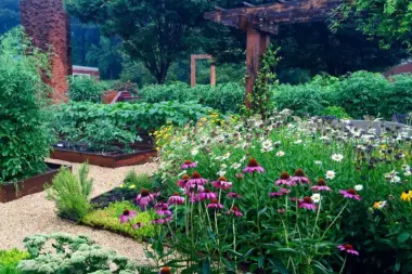 The facilities at Healing Transitions - Men Campus in Raleigh, NC 1