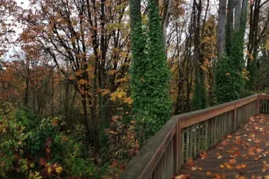 The facilities at Key Recovery in Seattle, WA 1