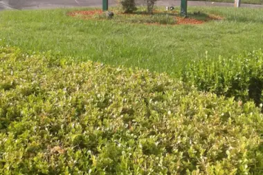 The facilities at Meridian - Boy���s Recovery Center in Lake City, FL 1