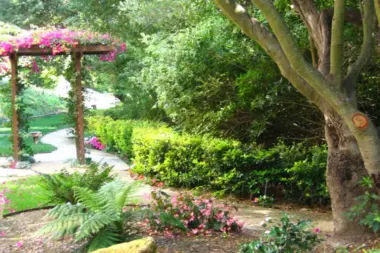 The facilities at Paradigm Treatment - Teen & Young Adult Mental Health in Malibu, CA 1