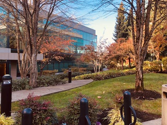 reSTART Life | Bellevue Campus