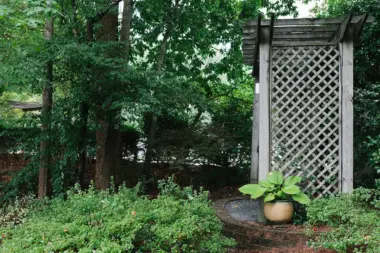 The facilities at Ridgeview Institute in Smyrna, GA 1