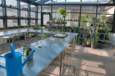 The facilities at Rosecrance Griffin Williamson Campus in Rockford, IL 3