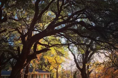 The facilities at Shades of Hope Treatment Center in Buffalo Gap, TX 2
