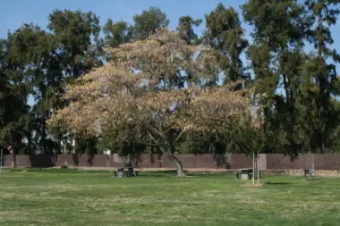 The facilities at Stanislaus County Behavioral Health - Recovery Center in Ceres, CA 2