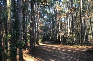 The facilities at The Augustine Recovery Center in Saint Augustine, FL 2