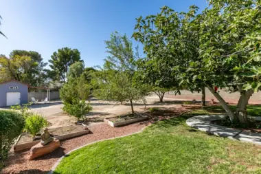 The facilities at The Fearless Kind in Las Vegas, NV 5