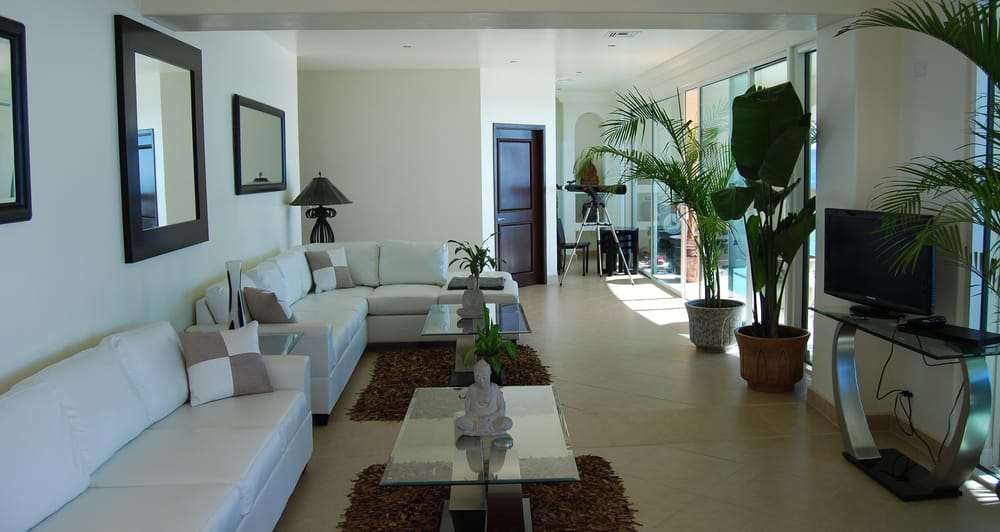 The Holistic Sanctuary