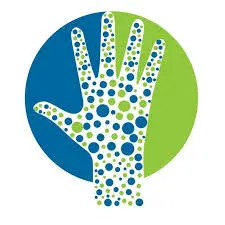 Alli Addiction Services