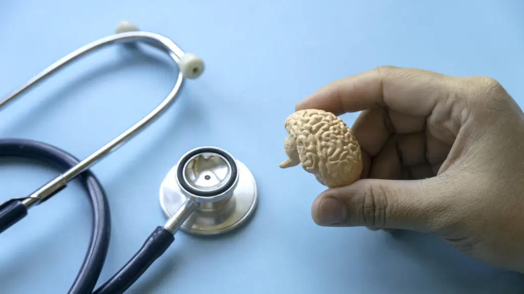A doctor holding a small model of a human brain