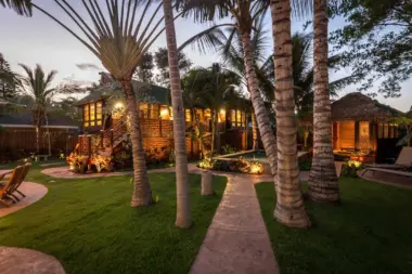 Exterior shot of Maui recovery golden hour surrounded by trees