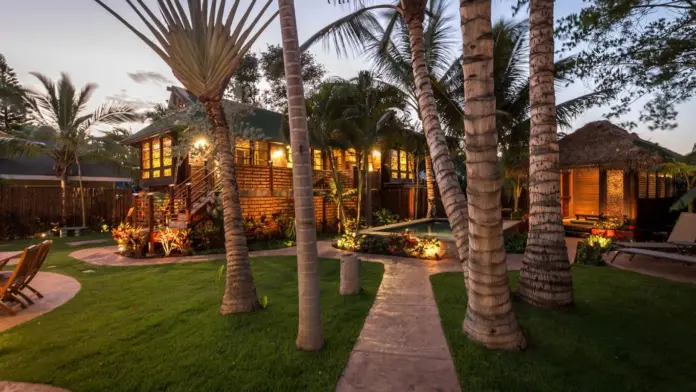 Exterior shot of Maui recovery golden hour surrounded by trees