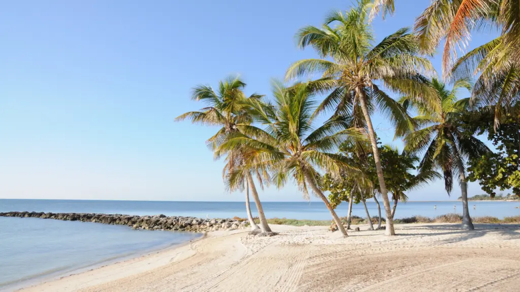 A view of a beach, on the coast of Florida