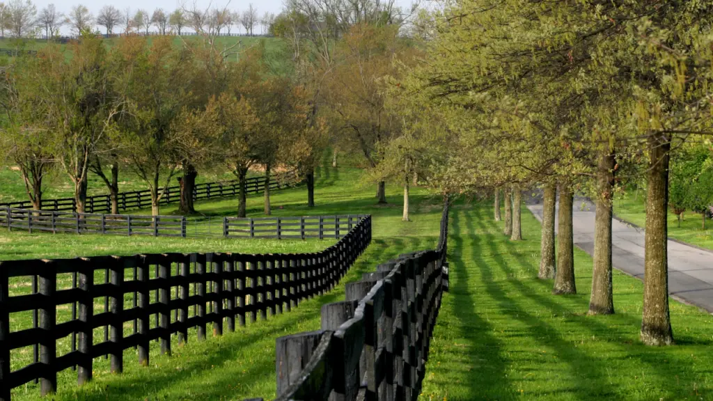 A scenic view of Lexington, Kentucky