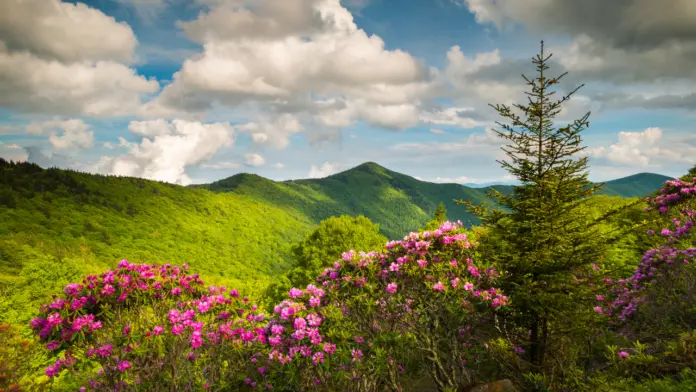Blue Ridge Parkway in North Carolina