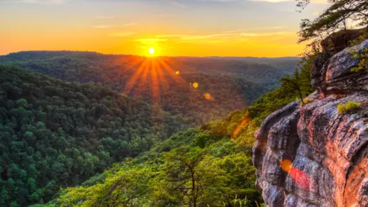 10 Best Drug Rehabs in Tennessee – Summer 2025