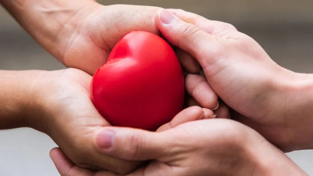 Two pairs of hands hold a cartoon heart together