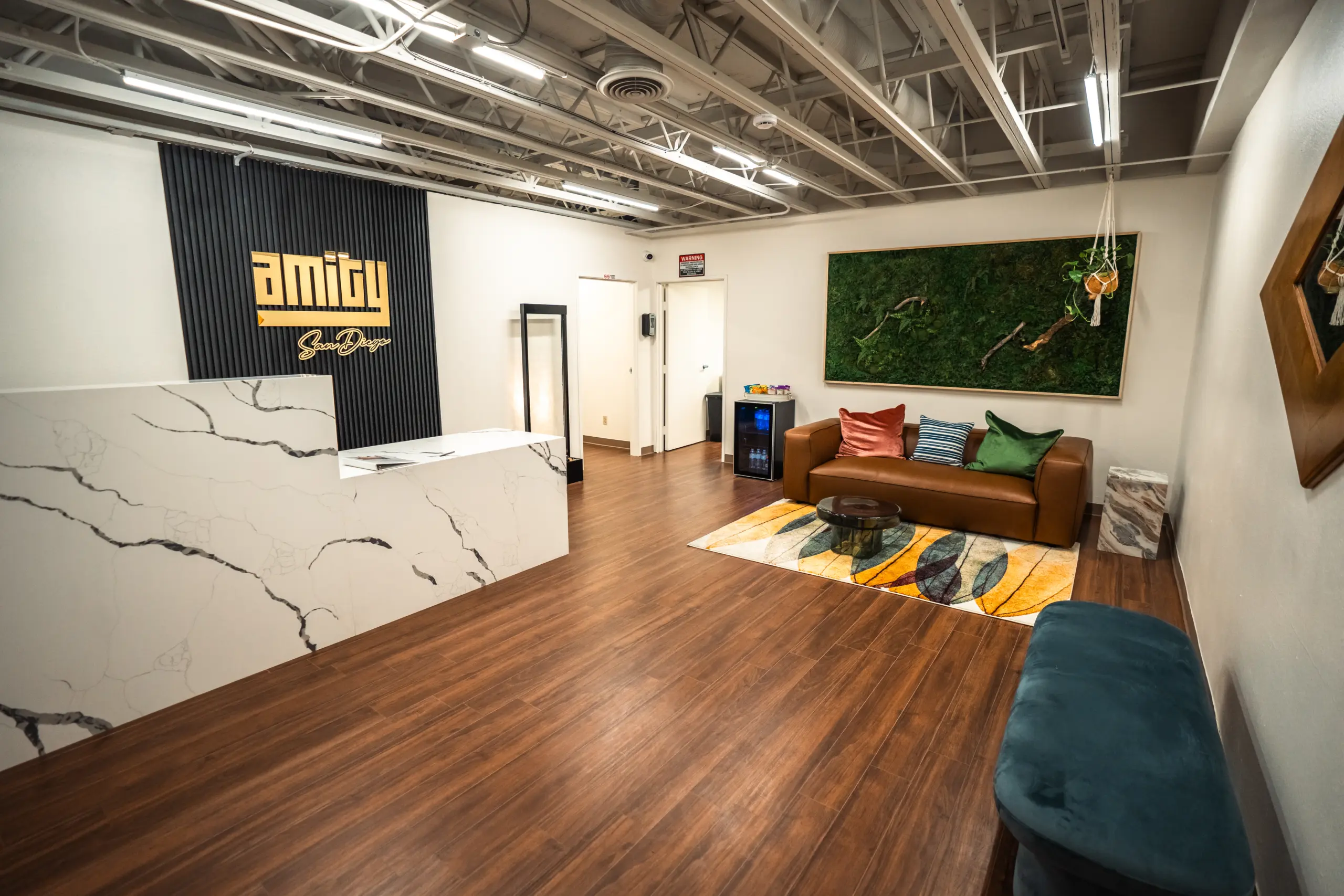 Amity San Diego