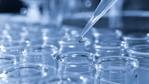 Drug Test Detox: Getting Clean Before Getting Tested