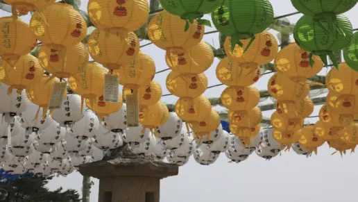 Recovery Dharma: Your Questions, Answered