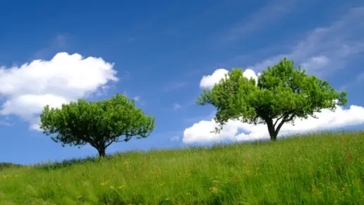 Refuge Recovery: What to Know