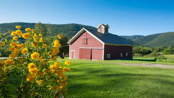 addiction treatment in rural clinics